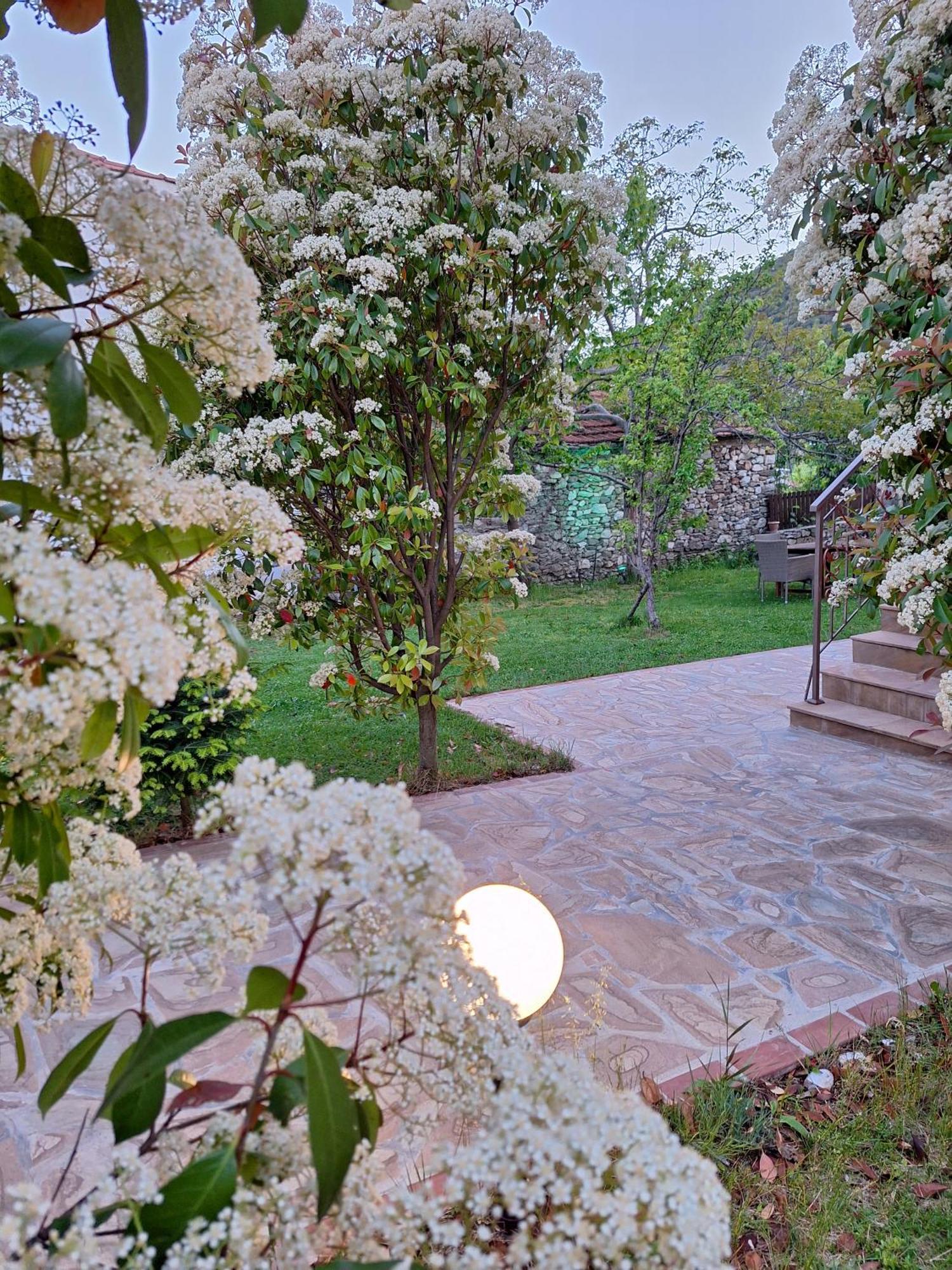 Country House On Mount Olympus Karia  Extérieur photo
